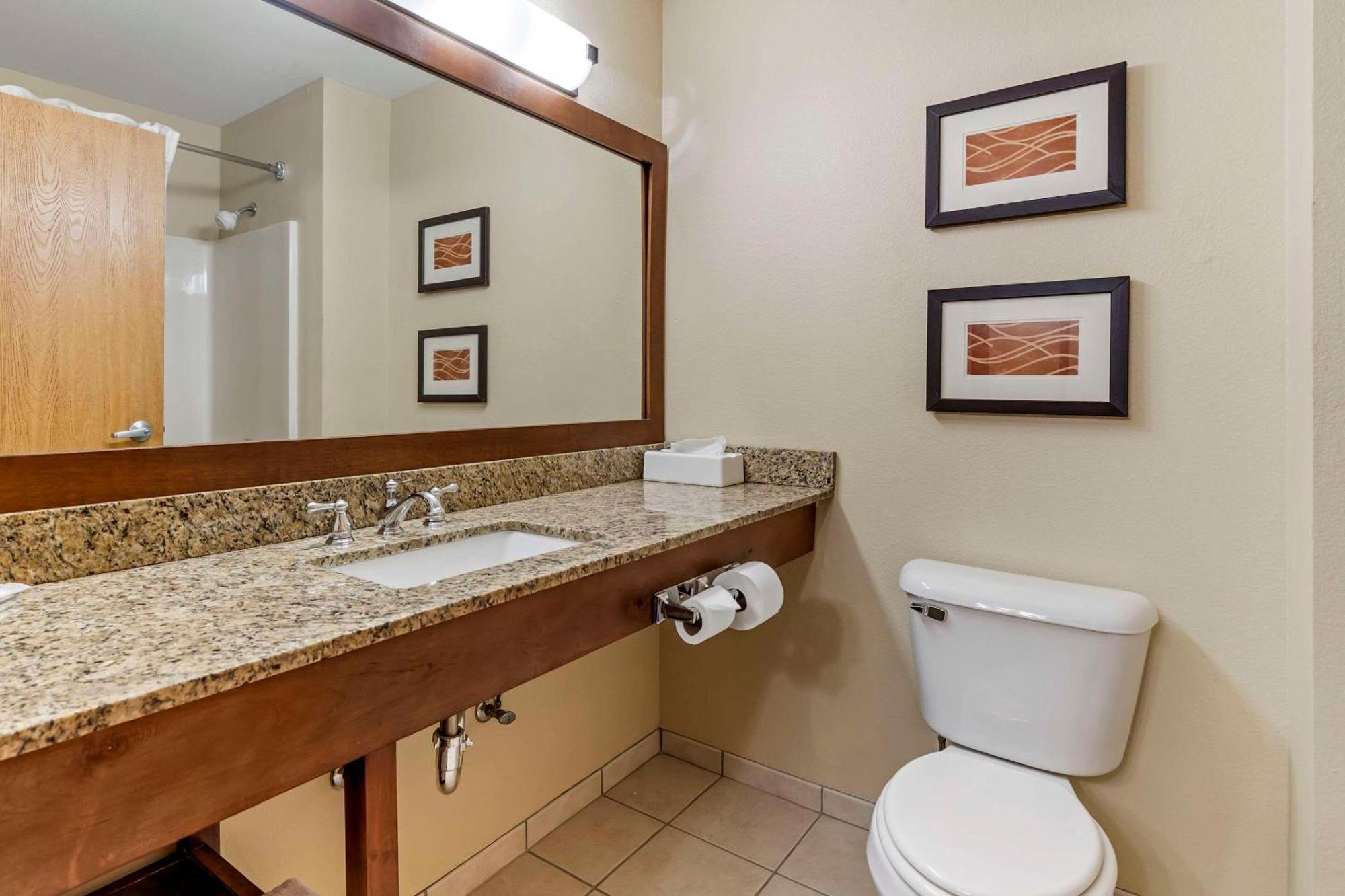 Comfort Inn & Suites East Moline Near I-80 Bagian luar foto